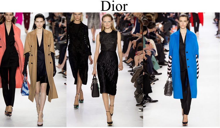 Dior1