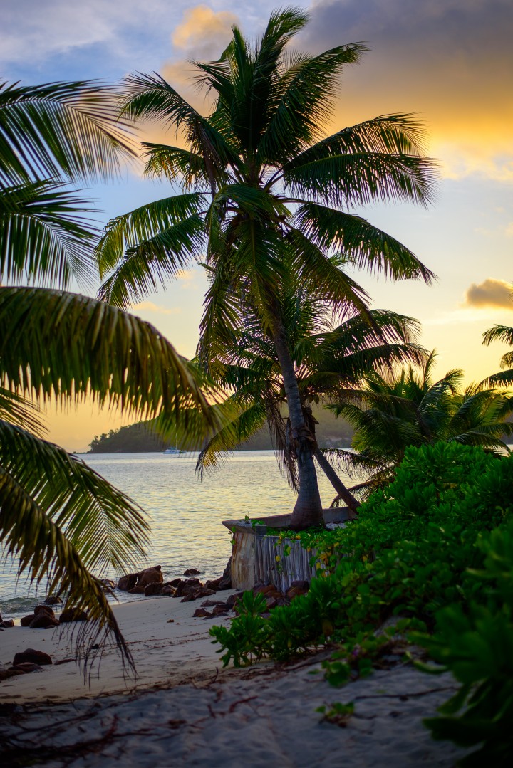 seychellit praslin5