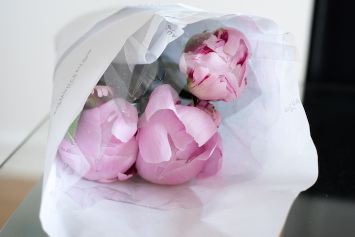 pink peonies 1