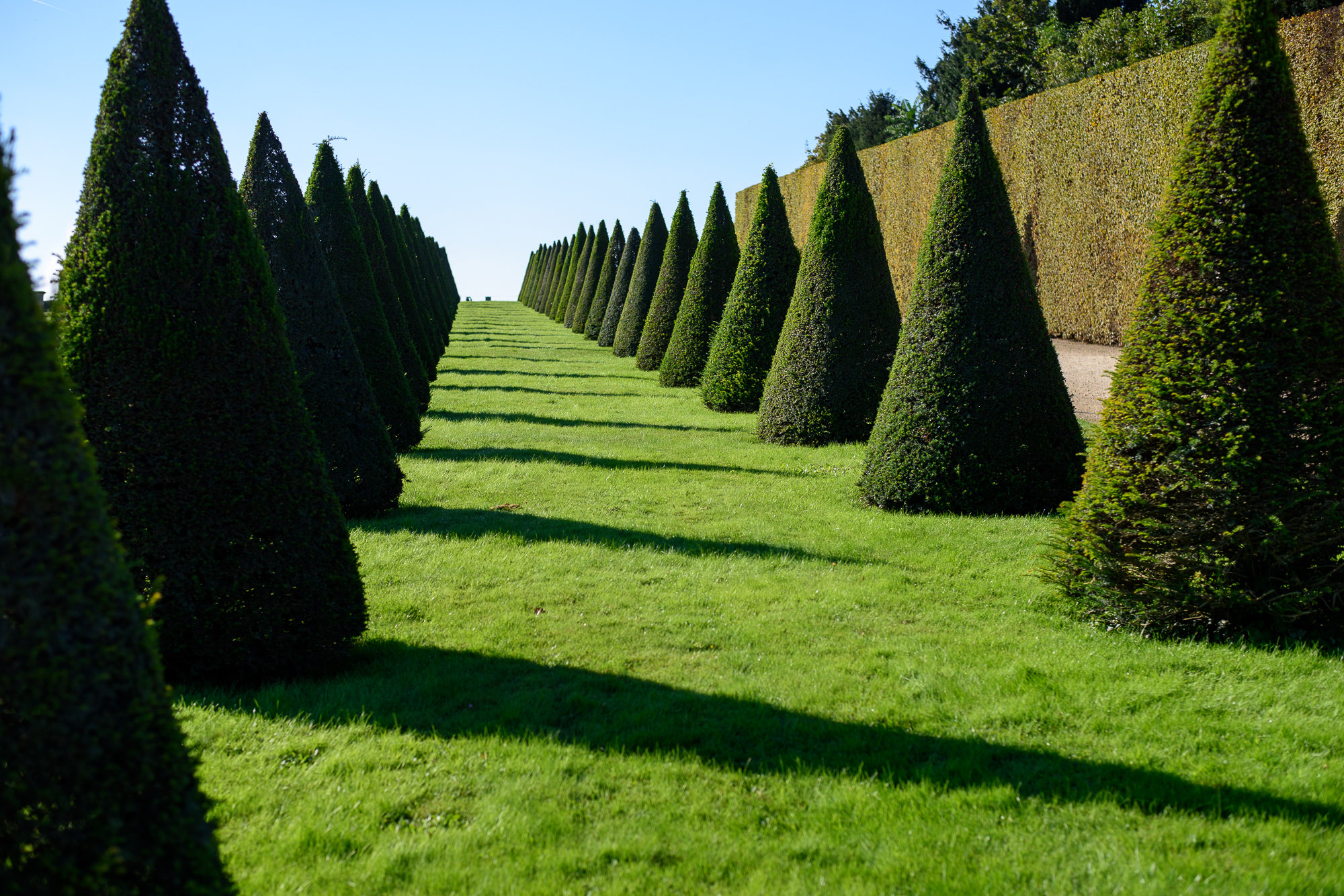 palace-of-versailles-garden-2