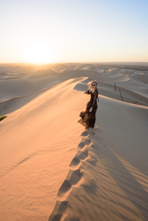 Abu Dhabi Desert Style Plaza5